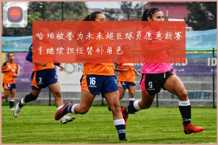 哈珀被誉为未来超巨球员愿意新赛季继续担任替补角色